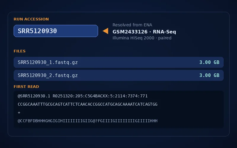 A run accession resolved to its paired FASTQ files and the first read of the file