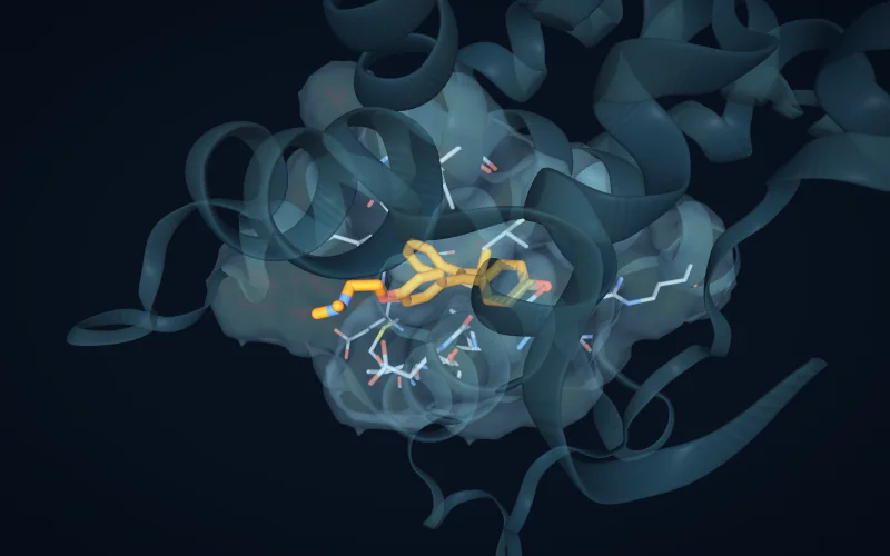 A ligand in its binding pocket with the surrounding residues and a translucent pocket surface