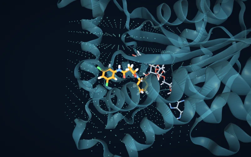 A ligand in its binding site surrounded by a regular three-dimensional grid of points