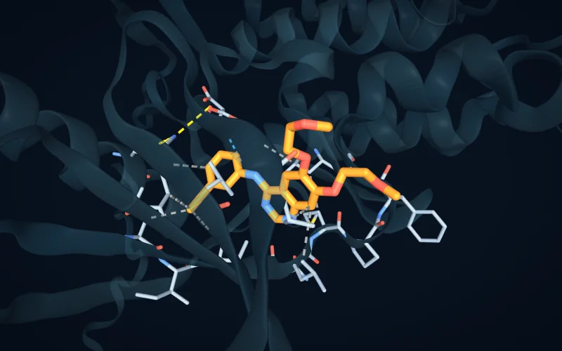 A bound ligand with its contacting residues and dashed interaction lines