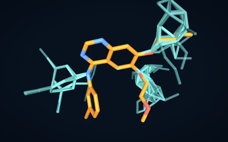 Fourteen low-energy conformers of a drug molecule overlaid on their shared core