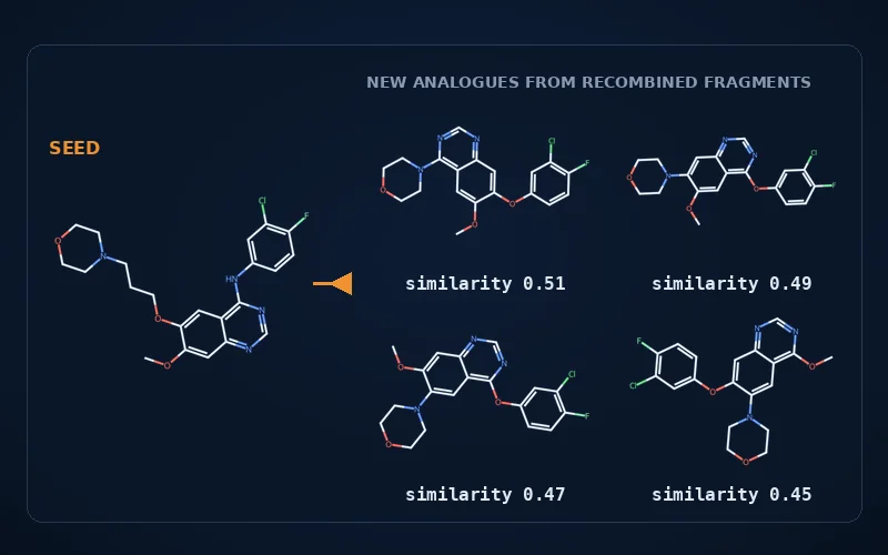 A seed molecule and four new analogues built from recombined fragments