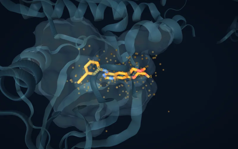 A ligand in its pocket with a cloud of noisy atom positions around it