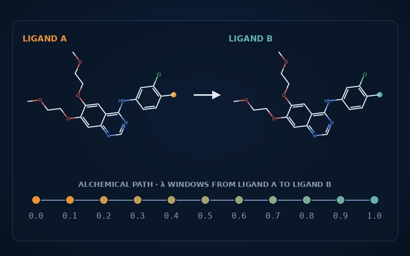 Two related ligands with the changed atoms highlighted and a ladder of lambda windows between them