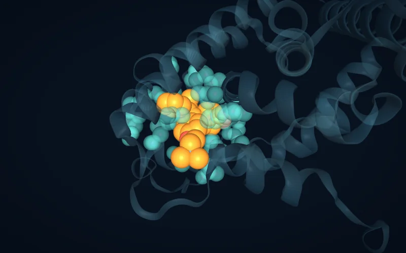 A ligand surrounded by the residues in contact with it