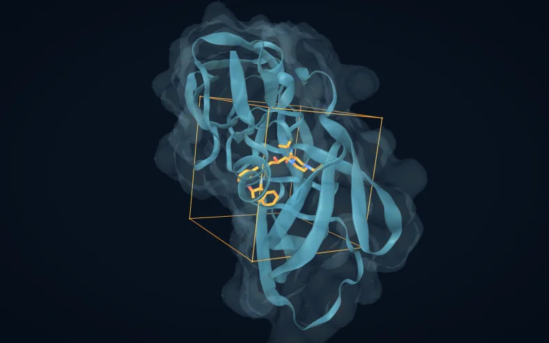 A protein with a bound inhibitor and the cubic docking search box drawn around the site