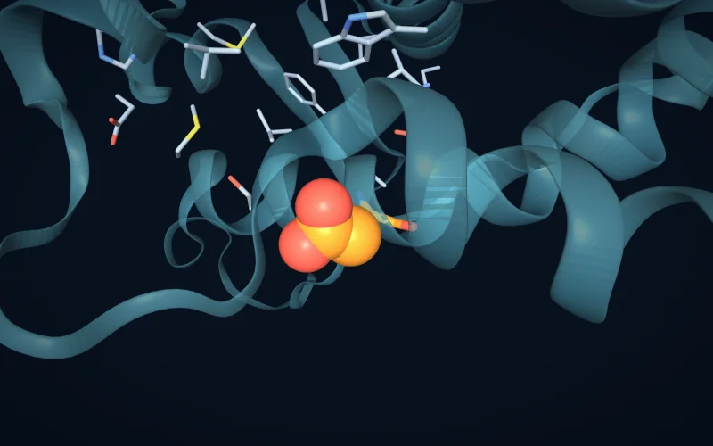 One residue shown as spheres inside its surrounding residues in a protein