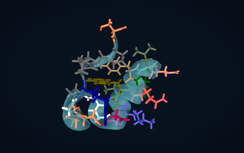 A small peptide fold with its side chains coloured by residue type