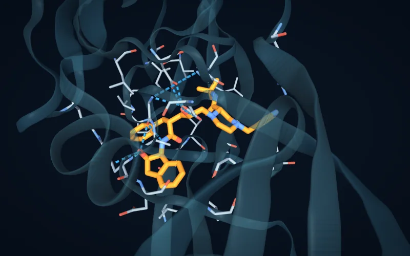 A ligand with the surrounding residues and dashed hydrogen bonds