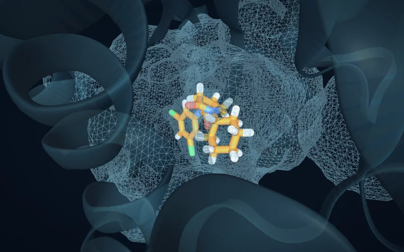A crystallographic ligand inside a wire-mesh surface of its own binding pocket