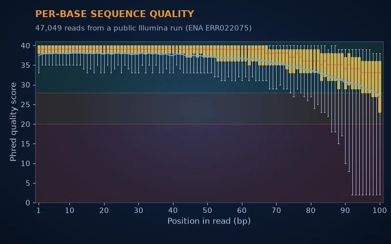 A per-base sequence quality plot from a public sequencing run