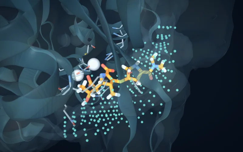 A ligand and two zinc ions in a binding site, with pocket grid points marked in teal