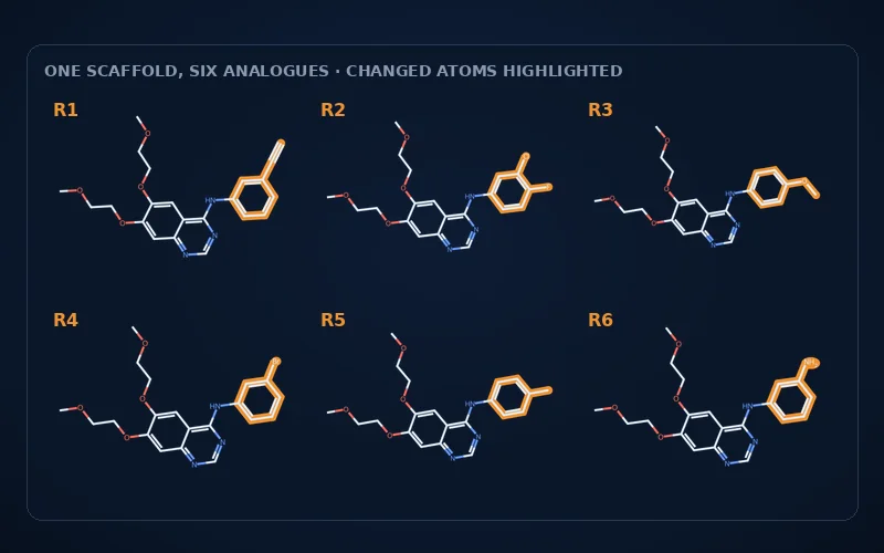 Six analogues of one scaffold with the changed substituent highlighted on each